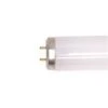 Tube Fluorescent T8 15,5 W G13 à 2 Broches, 17,8'' (blanc Froid) -GAGNON Quincaillerie 0542213434cd49a09c820dd2ecc6c120bed49afb 77392079 001