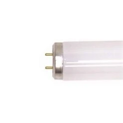 Tube Fluorescent T8 15,5 W G13 à 2 Broches, 17,8'' (blanc Froid)