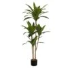 Monarch Specialties Dracaena Artificiel D’intérieur En Pot, 51"