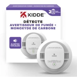 Avertisseur Vocal De Fumée Et De Monoxyde De Carbone à Piles, 2 X AA