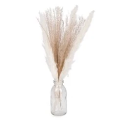 Graminées Deux Tons Dans Un Vase Transparent, 13,5" X 2"