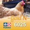 Purina Moulée De Ponte GOLD'N Layena Texturé, 25 Kg (#6025)