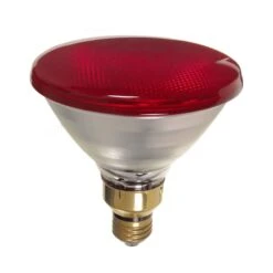 Ampoule Infrarouge, PAR38