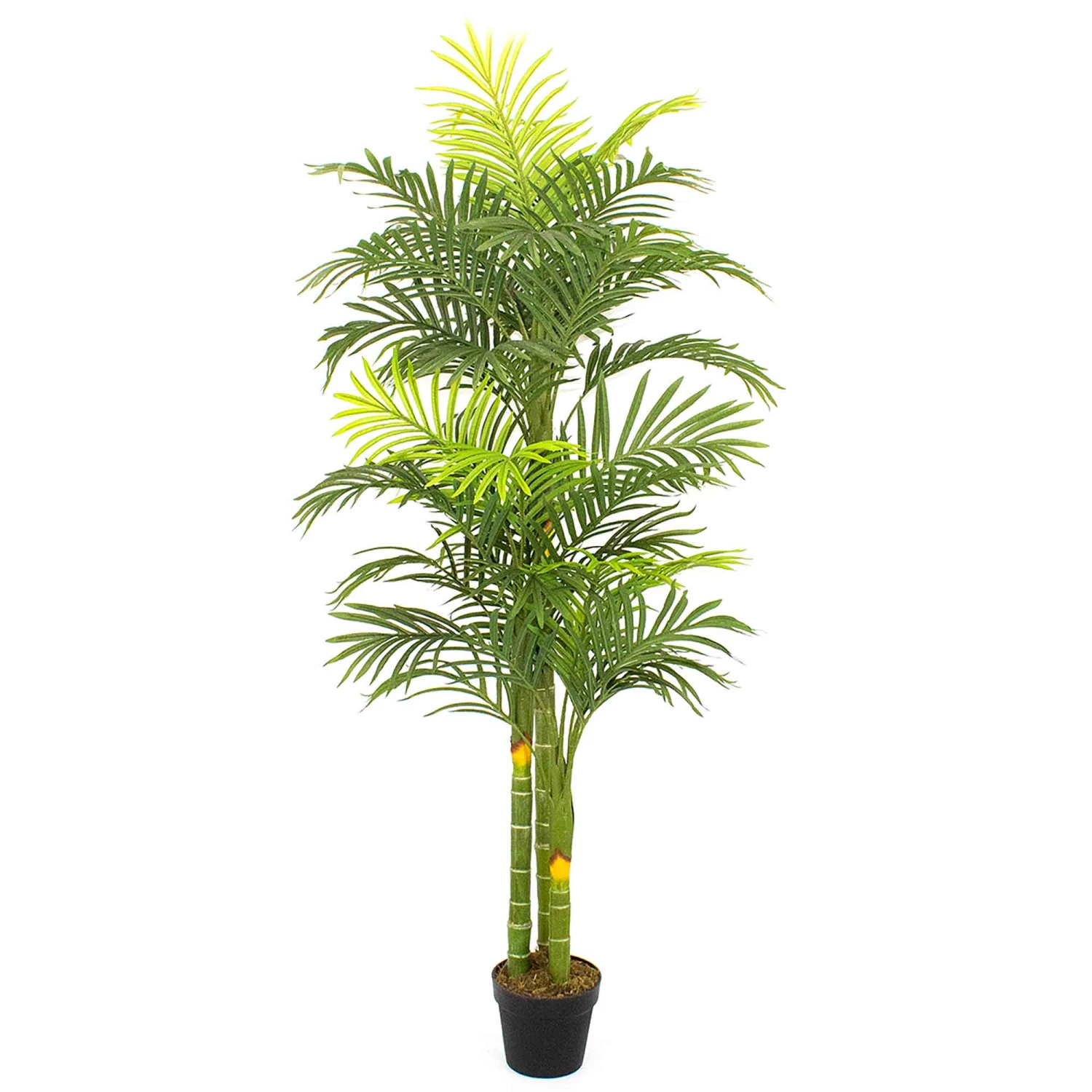 Palmier Artificiel En Pot à 36 Feuilles, 71'' 3 Palmier Artificiel En Pot à 36 Feuilles, 71''