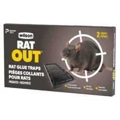 Piège à Colle Pour Rats Wilson RAT OUT, 2 Unités