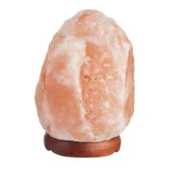 Globe Electric Lampe Au Sel Rose De L’Himalaya, 7"