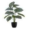 Monarch Specialties Plante Calathea Artificiel D’intérieur En Pot, 24" -GAGNON Quincaillerie 700dcfd29f946f34370fbe8a4db4d43d79e5595e 96088781 001