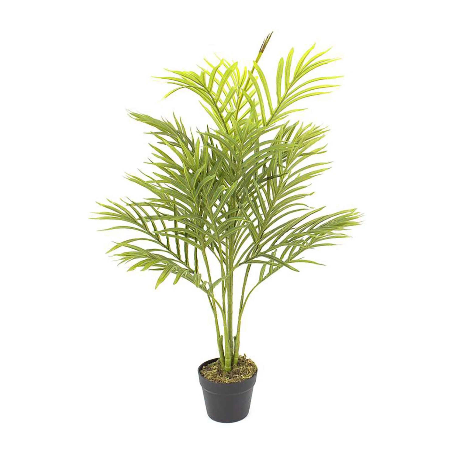 Palmier Artificiel à 18 Feuilles, 35" 3 Palmier Artificiel à 18 Feuilles, 35"