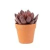 Lotus Rouge Artificiel En Pot , 8'' -GAGNON Quincaillerie 7d3a982331ac53002a583641f73c646106ef381a 10900686 001