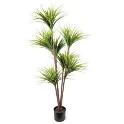 Plante Dracaena Artificielle En Pot Noir, 70"