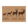 Tapis Coco Avec Inscription "ENFIN … VOUS VOILÀ!", 23,5" X 16" -GAGNON Quincaillerie 85ceddfb67167196f0f800ee43318f849c590044 58234467 001