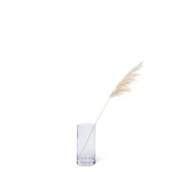 Abbott Herbe De Pampa Naturelle De Taille Moyenne Et De Couleur Blanche, 36''