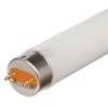 Tube Fluorescent F17T8 4100K, 24" -GAGNON Quincaillerie a91a96cdef93e3ce938d233a85b62e248b8fd4c2 77282714 001 40a92cc0 3185 423e 83c7 5cf0ab5346eb