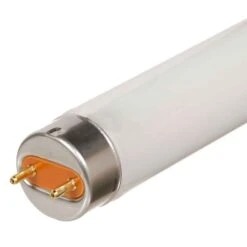 Tube Fluorescent F17T8 4100K, 24"
