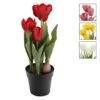 Tulipes Artificielles En Pot, 13'' (choix Entre 4 Couleurs) -GAGNON Quincaillerie a964817c6efae5d303f633844e1f020f93d3caae 15225766 001