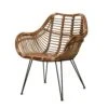 Chaise En Rotin Et En Métal Avec Accoudoir