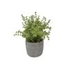 Eucalyptus Pot Ciment -GAGNON Quincaillerie ada3a861410931abdad19dae8f2e6792f4d62b85 58218573 001 e54b5d96 5d34 4ea1 9f07 e4815299e583