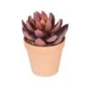 Plante Lotus Artificielle En Pot De Terre Cuite, 6" -GAGNON Quincaillerie ba18b540231aa8e7c70a3756c4da7254cce227ea 10900761 001 f6d35155 f484 4a9f 956b 58dadafff0fe