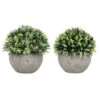 Ensemble De Plantes ''boule De Feuillage'' En Pots Gris, 2 Unités -GAGNON Quincaillerie c3bbb2482ef0dc5a9d1459cd22f02d5b0870184b 93410974 001