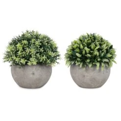 Ensemble De Plantes ''boule De Feuillage'' En Pots Gris, 2 Unités
