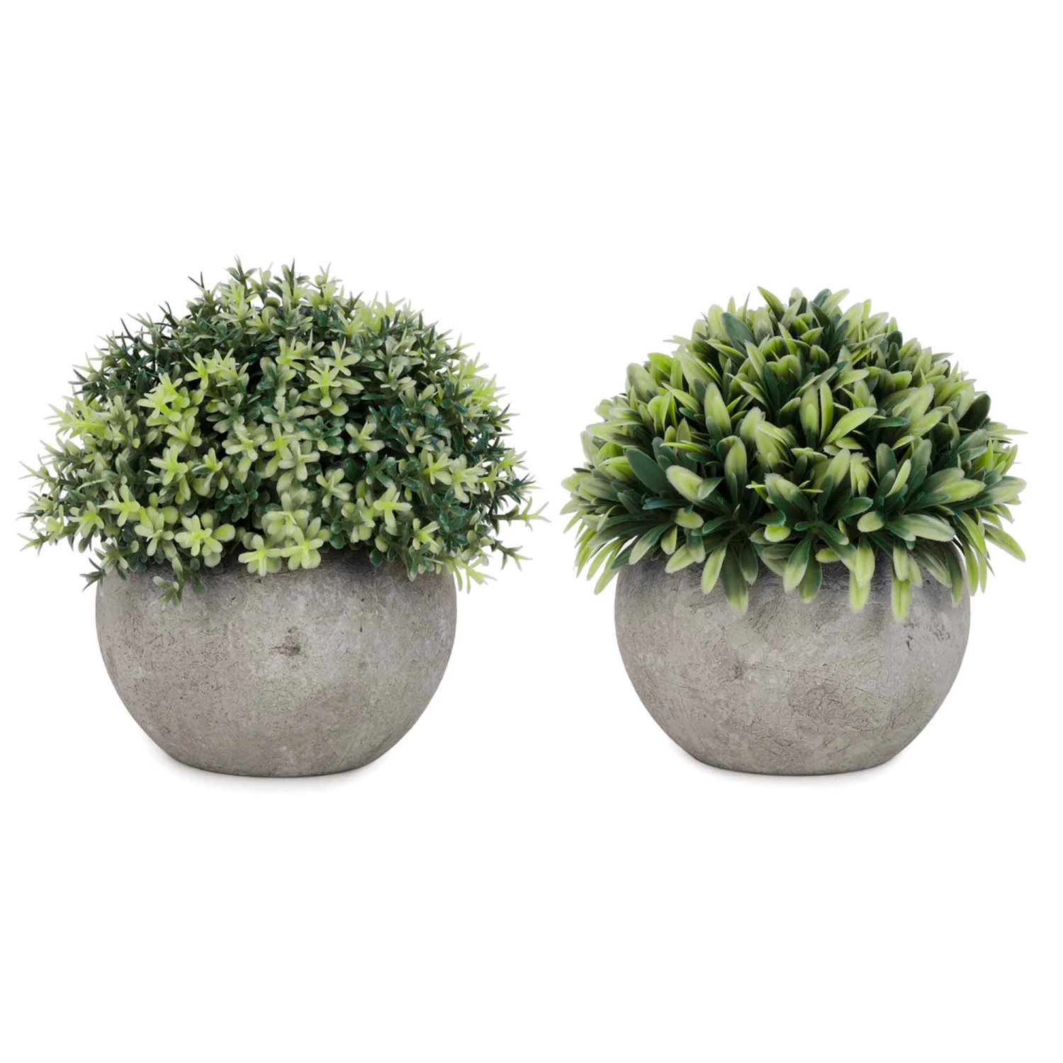 Ensemble De Plantes ''boule De Feuillage'' En Pots Gris, 2 Unités 3 Ensemble De Plantes ''boule De Feuillage'' En Pots Gris, 2 Unités
