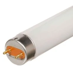 Tube Fluorescent F25T8, 36"