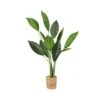 Plante D'intérieur ''oiseau Du Paradis'' 43'' De Haut -GAGNON Quincaillerie c5d725895d24bc1d16d4e5345f6218220411f7c5 15217358 001