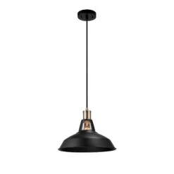 Globe Electric Luminaire Suspendu Robin à 1 lumière, Enfichable Ou à Câbler