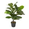 Plante Artificielle Ficus Lyrata En Pot Noir, 6,25" × 6,25" × 27,559'' -GAGNON Quincaillerie ca045ad9dd5afd77666f9a7b7b1673b6449ba1e4 10900419 001 fde09968 7751 40f2 98c6 98fea9aeedfe