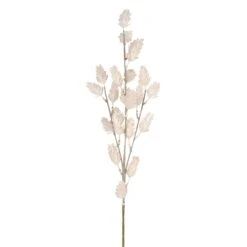 Tige De Graminée Ivoire, 29"