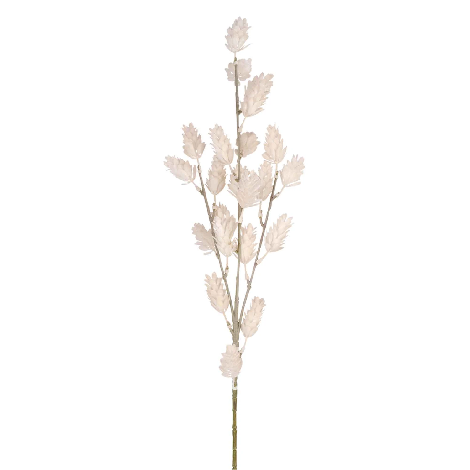 Tige De Graminée Ivoire, 29" 3 Tige De Graminée Ivoire, 29"