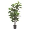 Plante Artificielle Ficus Lyrata, 57" × 8" × 8''