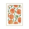 Illustration D'oranges Encadrée, 11,8" X 15,7" -GAGNON Quincaillerie e7fc97982be713706eaaca9bb17237680b23a5ee 58260305 001