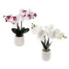 Orchidée Artificielle Au ''touché Naturel''en Pot, 16,9" (choix Entre 2 Couleurs) -GAGNON Quincaillerie ea4d0f7a69ee28d82a1ba6835d6c61e4c97cd039 15228286 001