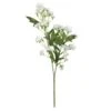 Branche De Pommier Fleuri, 24,4''