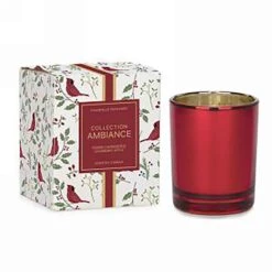 Chandelle Parfumée Dans Un Verre Rouge, Pomme Et Canneberge