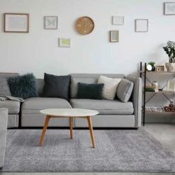 Tapis Brio à Poils Longs, Gris (91" X 63")