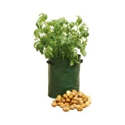 Ensemble De Sacs De Plantation Pour La Culture De Pommes De Terre, 3 Sacs